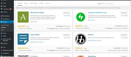 Common WordPress Terms