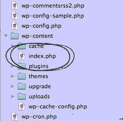 WordPress security tip: