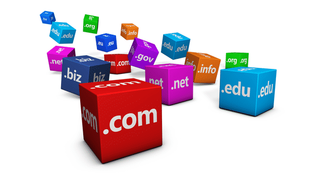 What is Domain Name
