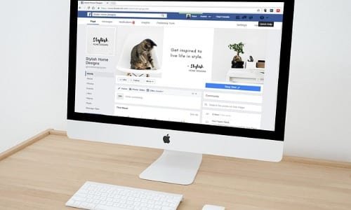 download facebook videos