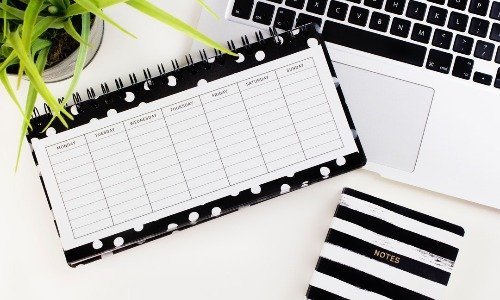 How to choose a WordPress Theme