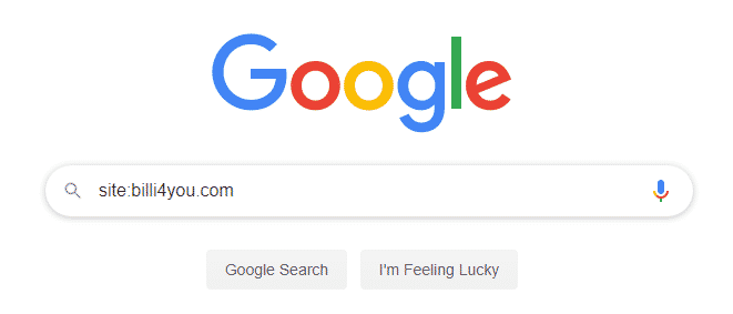 Google search bar