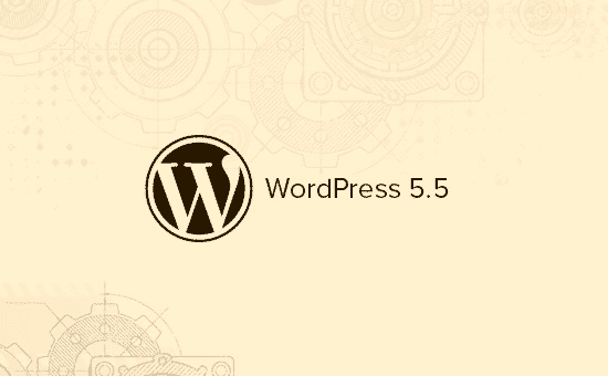 WordPress 5.5 most important features