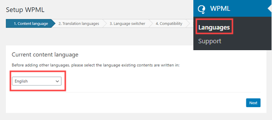 WPML setup options