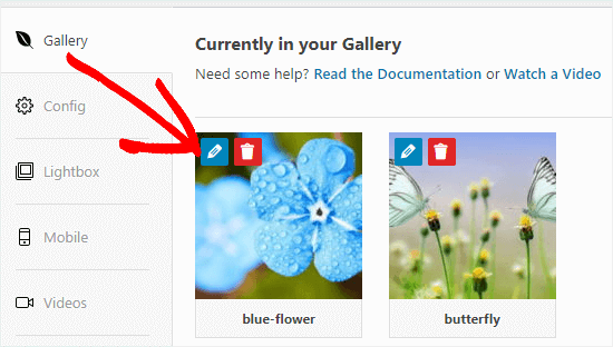 edit gallery image