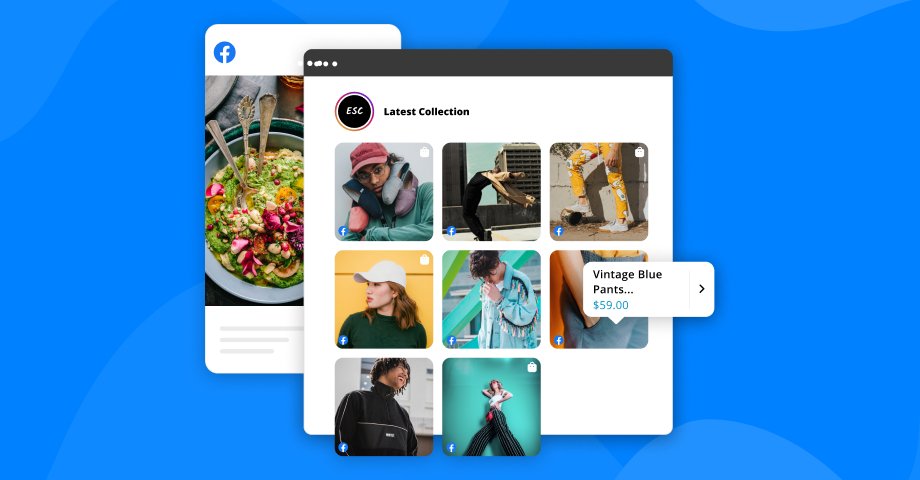 Facebook albums ko WordPress site pe embed kaise kare
