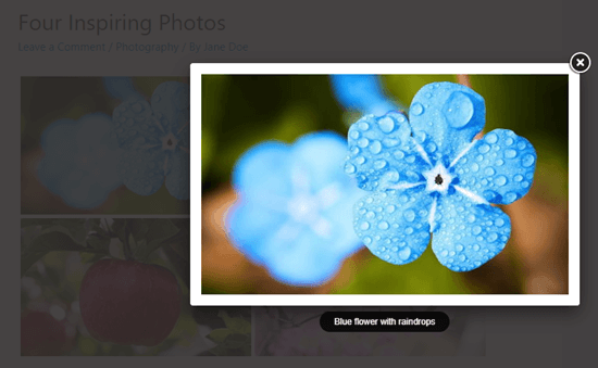 envira lightbox example