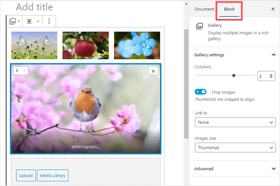 gallery block settings