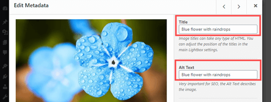 image title alt text