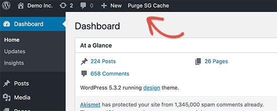 purge sg cache